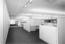 Why My Cubicle Is Empty