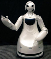 Human vs. Robot: Who Wins the Challenge at Work?