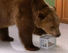 Work Lunches Stolen? Get The Fridge Locker