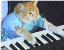How to Avoid Workplace Distractions (Is That a Cat Playing the Piano?)
