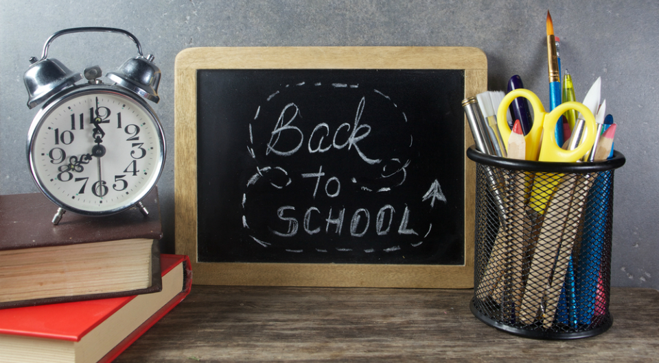 Why Is Going Back to School a Good Idea for Your Career?